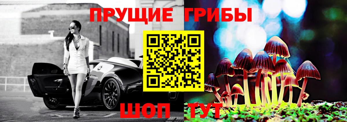 Псилоцибиновые грибы прущие грибы  Вход с VPN  Старая Русса 